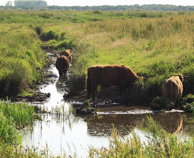 Ontdekkingstocht met ... streekproducten Ontdekkingstocht met ... streekproducten