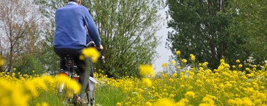 Hotel Groningen-Westerbroek - Sportive cycle package Hotel Groningen-Westerbroek - Sportive cycle package