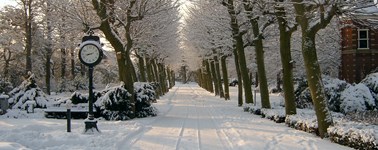 Hartje Winter 4-daags Hartje Winter 4-daags