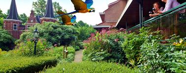 Van der Valk Avifauna - Kom eens terug actie Van der Valk Avifauna - Kom eens terug actie