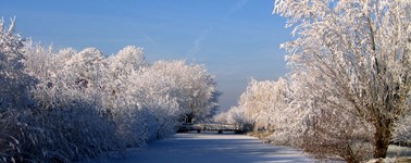Winterdeal Winterdeal