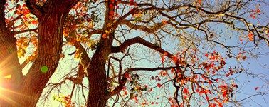 Heerlijk Herfst Heerlijk Herfst