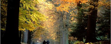 AUTUMN PACKAGE AUTUMN PACKAGE