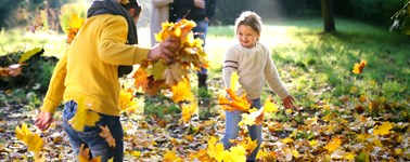 Heerlijke Herfst Heerlijke Herfst