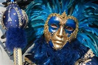 Carnaval - Valk Exclusief Carnaval - Valk Exclusief