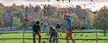 Autumn deal Autumn deal