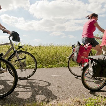 Bike rental Bike rental