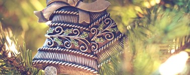 Hotel Emmen - WILDLANDS Kerstarrangement 24 december Hotel Emmen - WILDLANDS Kerstarrangement 24 december