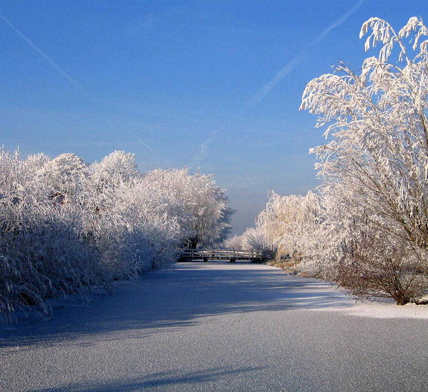 Winterpuzzel 2018 Winterpuzzel 2018