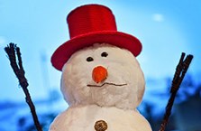 Welke groente wordt veelal gebruikt voor de neus van een sneeuwpop?
