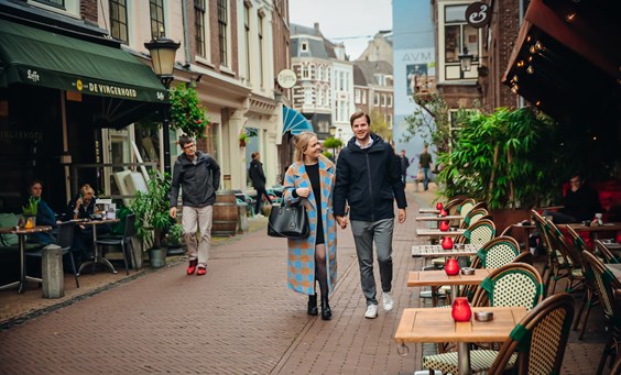 Ontdek Vianen & omgeving