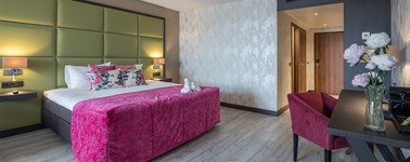 Hotel Wolvega - Heerenveen - Suite Dream
