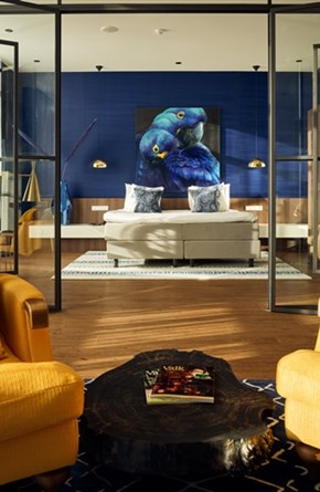 Suite Blauwe Ara