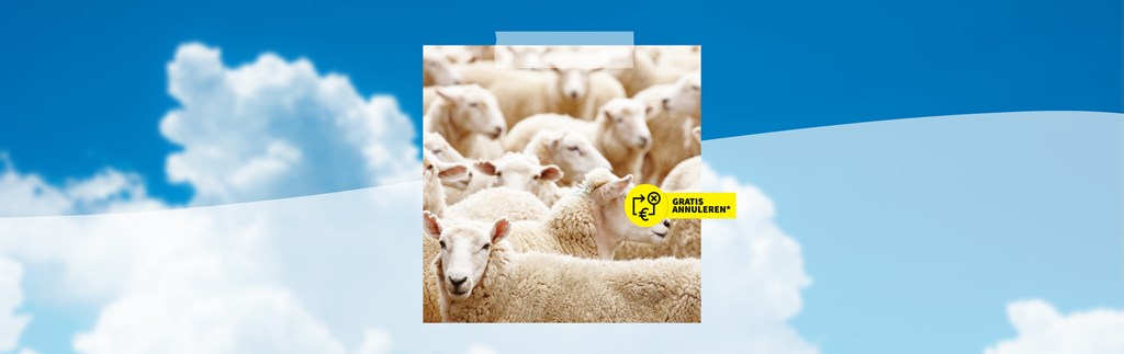 Pinksteren