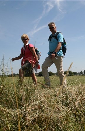 Wandelen