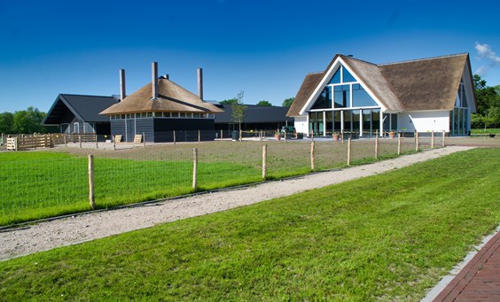 en terug naar een boerderij