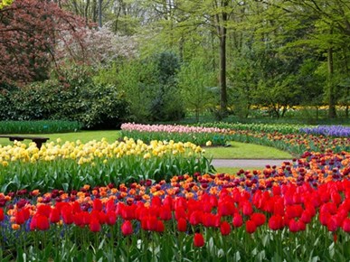 De Keukenhof