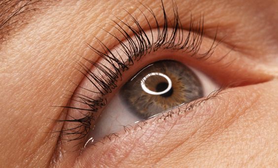 Lash volume lift