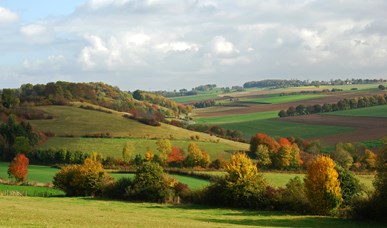 Limburg