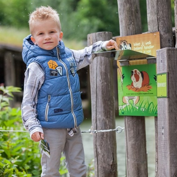 Kinder