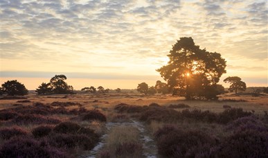 Hotels bij de Veluwe