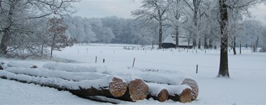Hartje Winter Arrangement