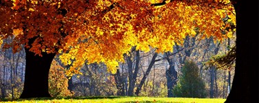 Heerlijke herfst