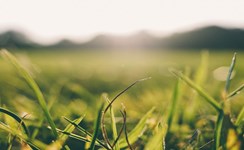 Sprightly Spring 4-day package Sprightly Spring 4-day package