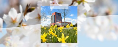 Van der Valk Hotel Dordrecht - 3=2 Spring Deal