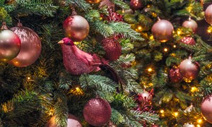 Kerstbrunch in ons Live Cookingrestaurant