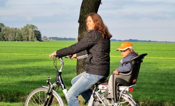 Prices and conditions of CHILDREN'S BIKES AND SEATS