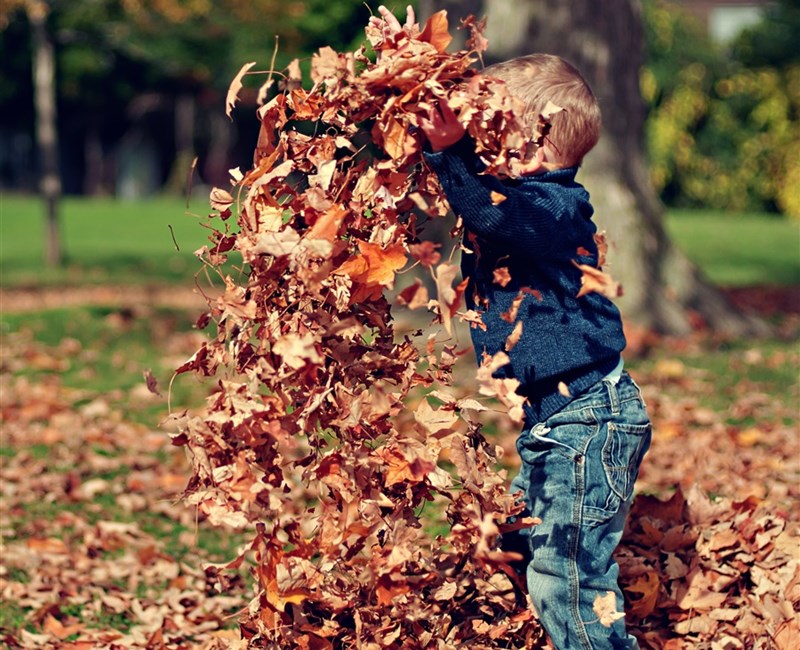 Heerlijke Herfst