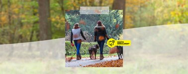 3=2 Autumn 3=2 Autumn