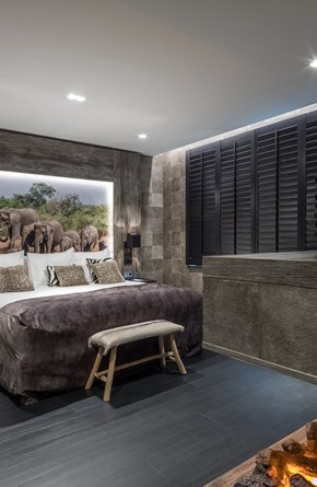 Safari suite