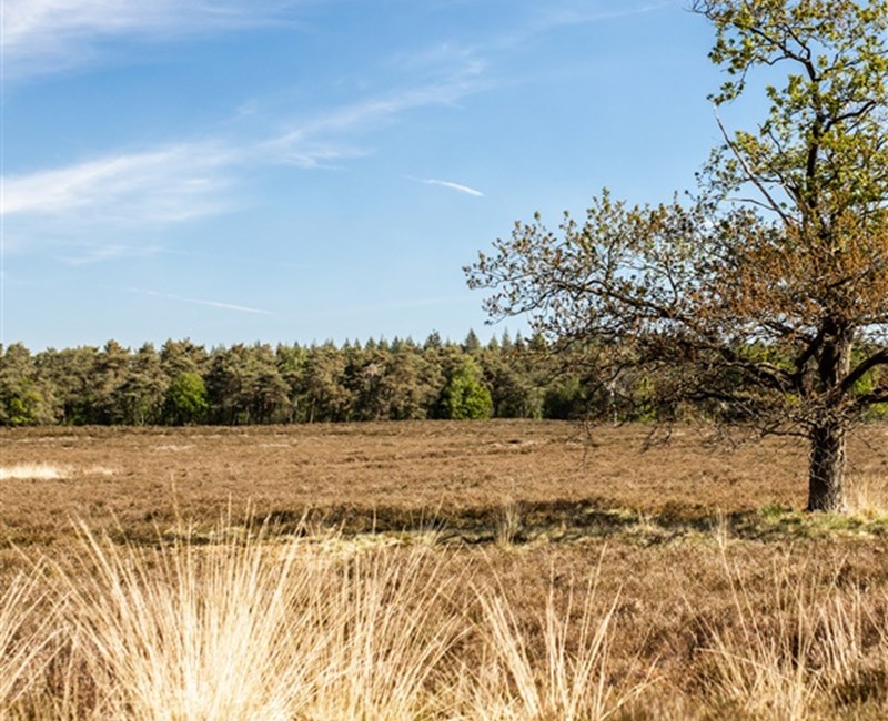 Hotels op de Veluwe