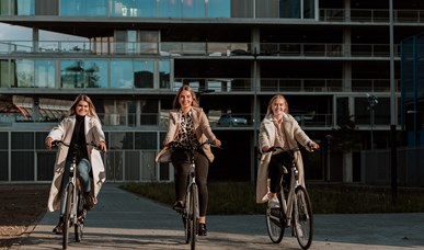 Bike rental