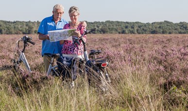 Cycling and walking