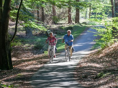 Fietsen