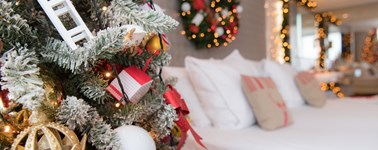Hotel Assen - Kerst Suite