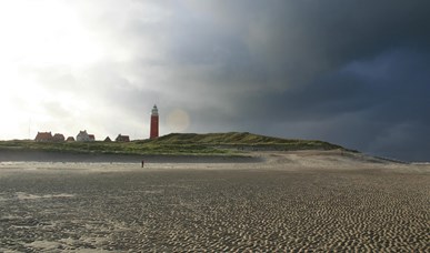 Texel