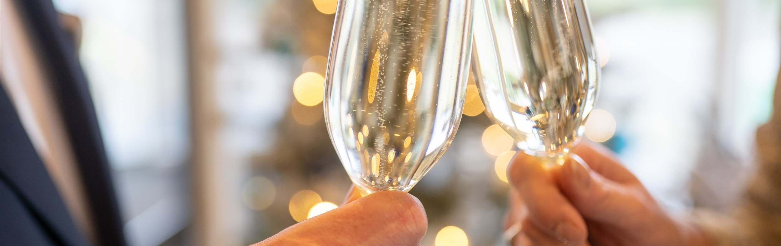 Oud & Nieuw Arrangement Van der Valk Avifauna