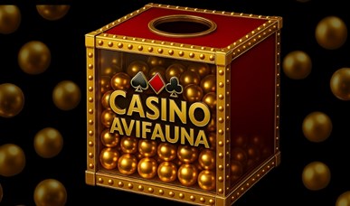 Draai het rad en graai je prijs - juli & augustus