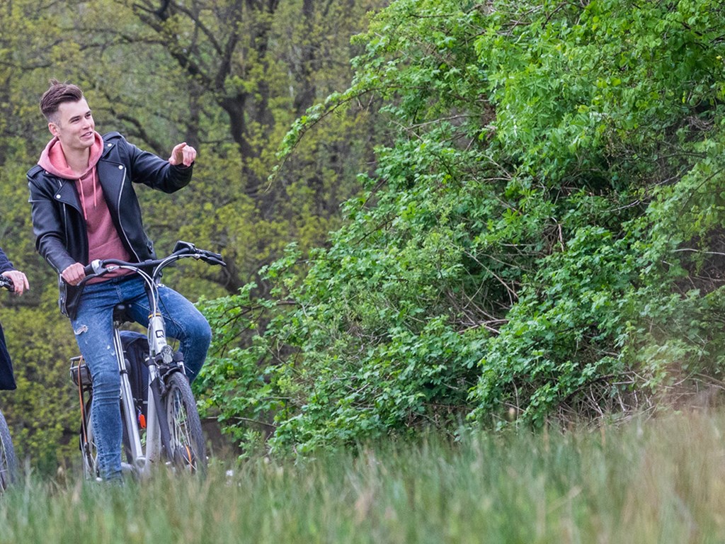 fahrrad ausleihen in der nähe der hackeschen höfe