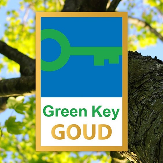 Welke rol speelt Green Key?