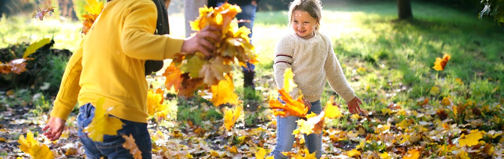 HERRLICHER HERBST