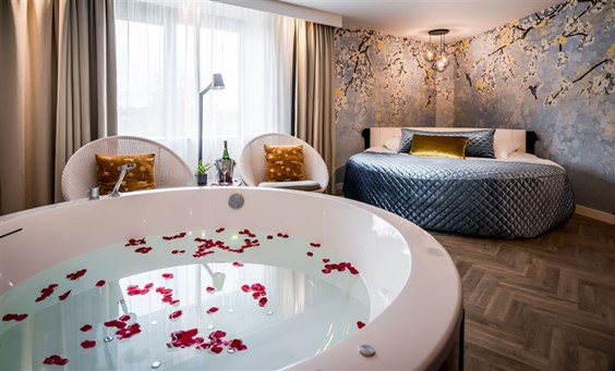 Suite Dream arrangement