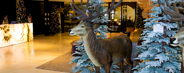 Hotel Maastricht - Weihnachtspaket 2 Nächte