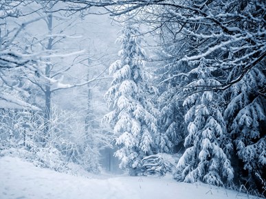 3=2 Special Winter