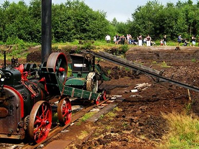 Veenpark in Barger-Compascuum