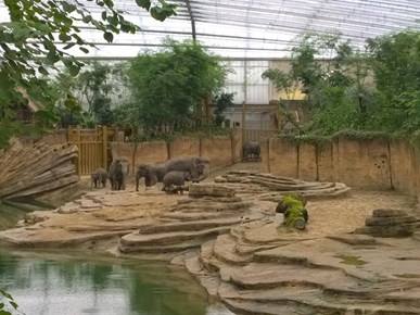 Wildlands Adventure Zoo Emmen